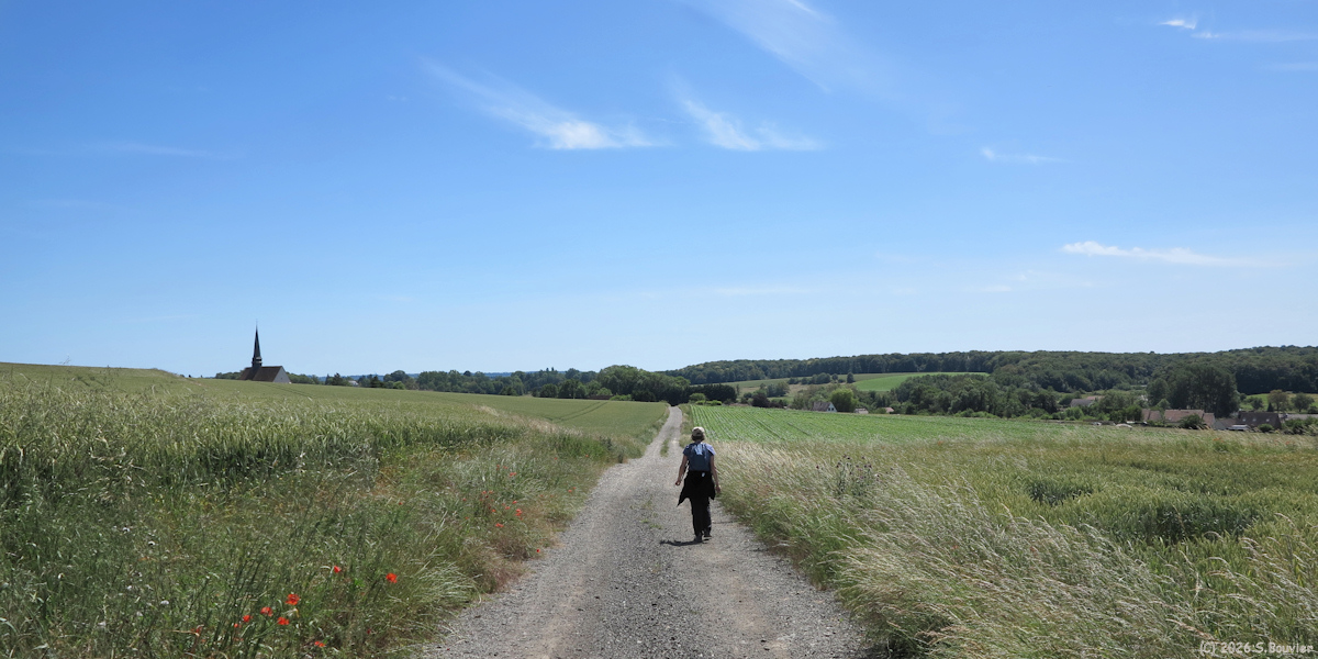 Aux Marais (Chemin 3)