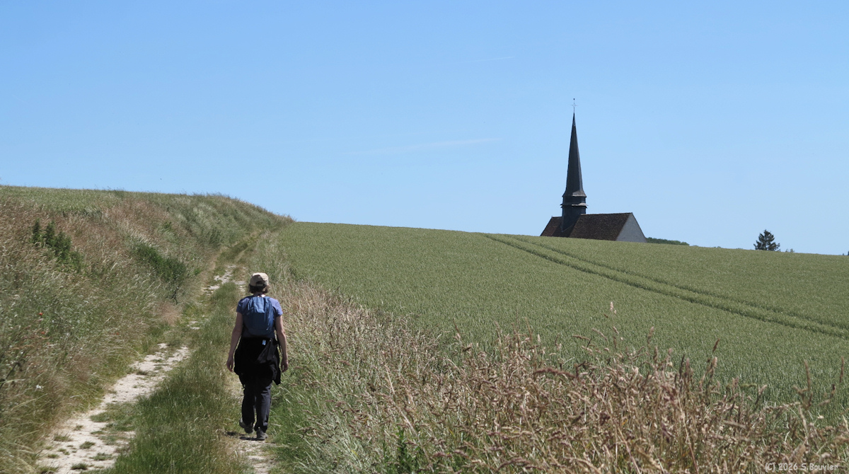 Aux Marais (Chemin 4)