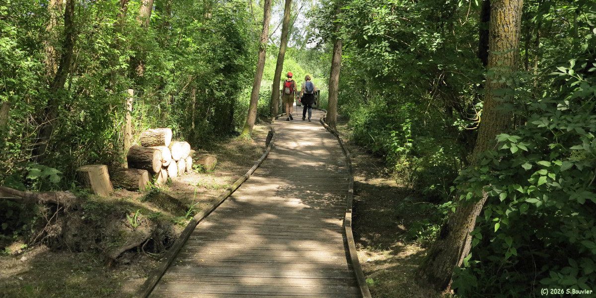 Le Tréport (Marais 1)