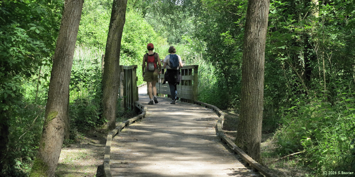 Le Tréport (Marais 2)