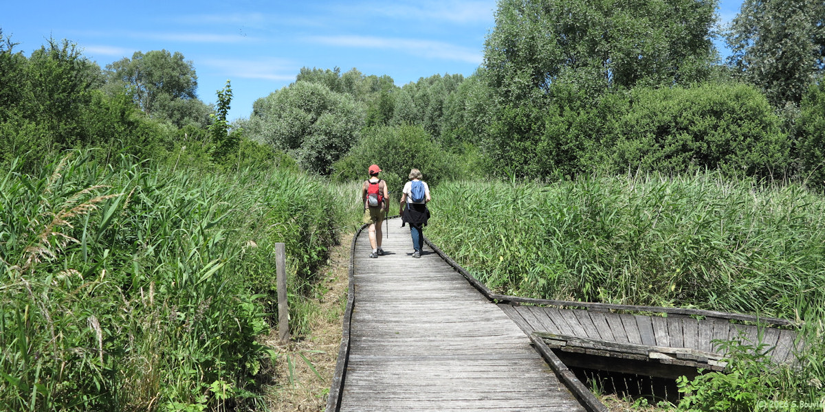 Le Tréport (Marais 3)