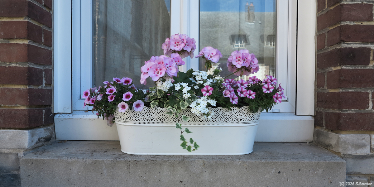 Eu (Jardinière)
