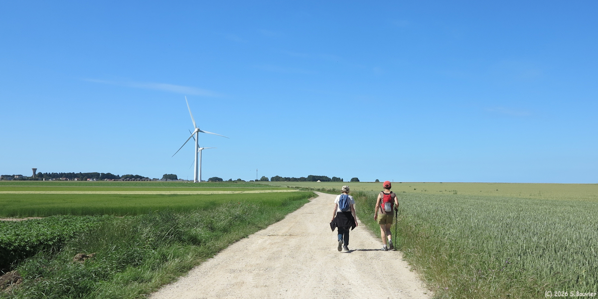 Flocques (Chemin)