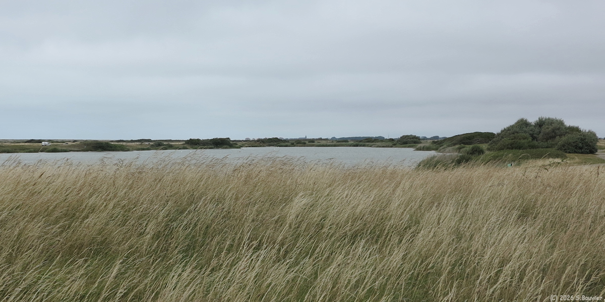 Woignarue (Etang)