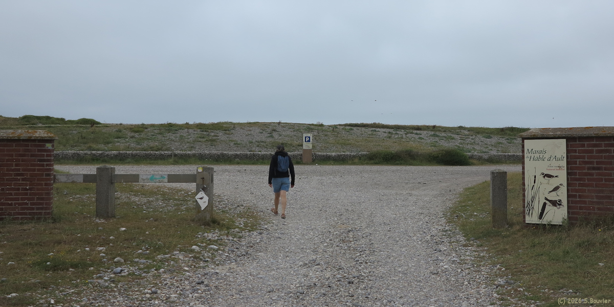 Woignarue (Digue)