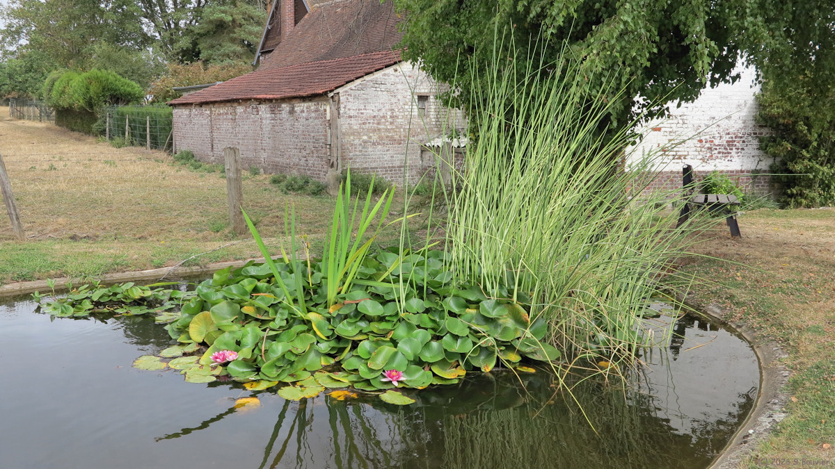 Auneuil (Bassin)
