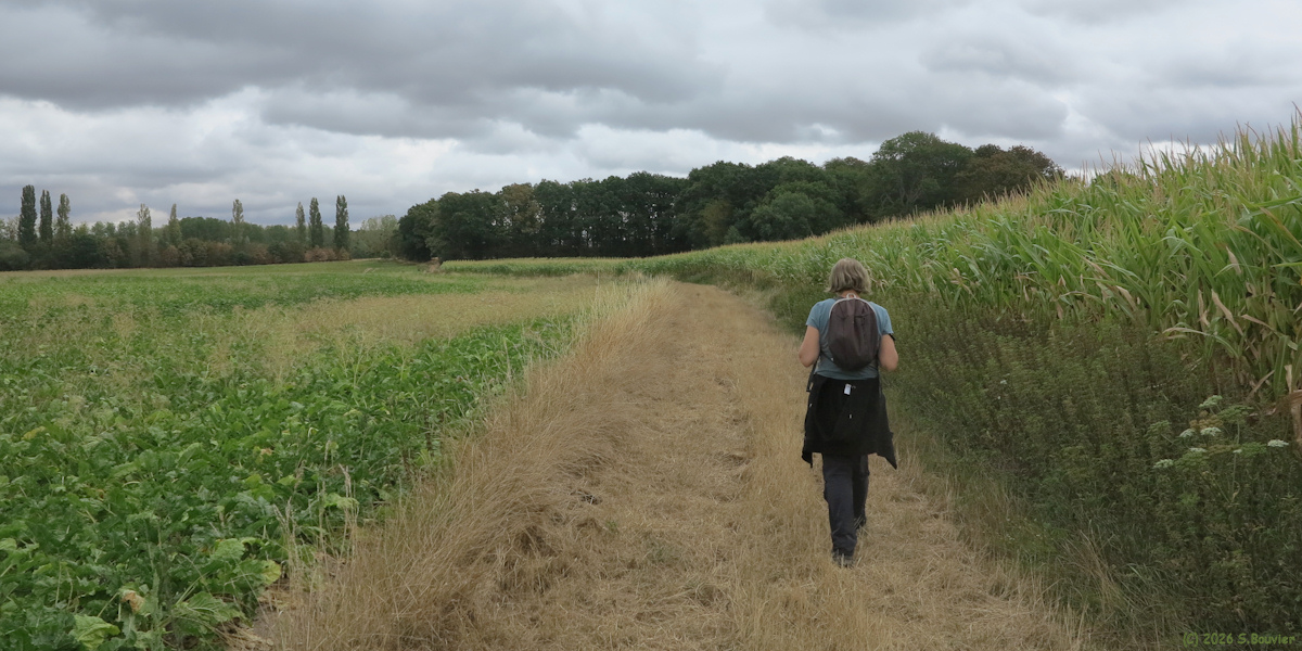 Auneuil (Chemin)