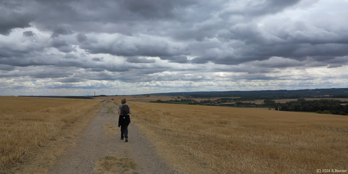 Saint Martin le Nœud (Chemin 1)