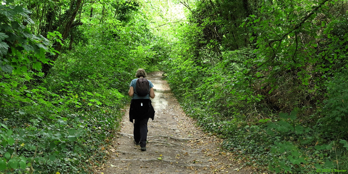 Allonne (Chemin)