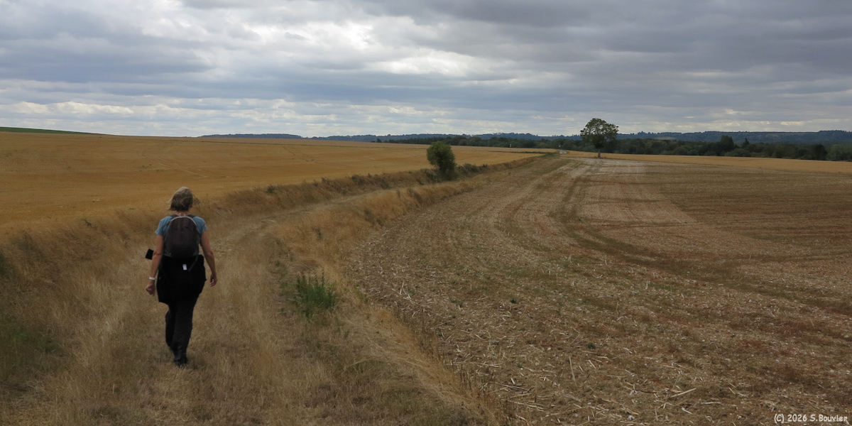 Frocourt (Chemin 1)