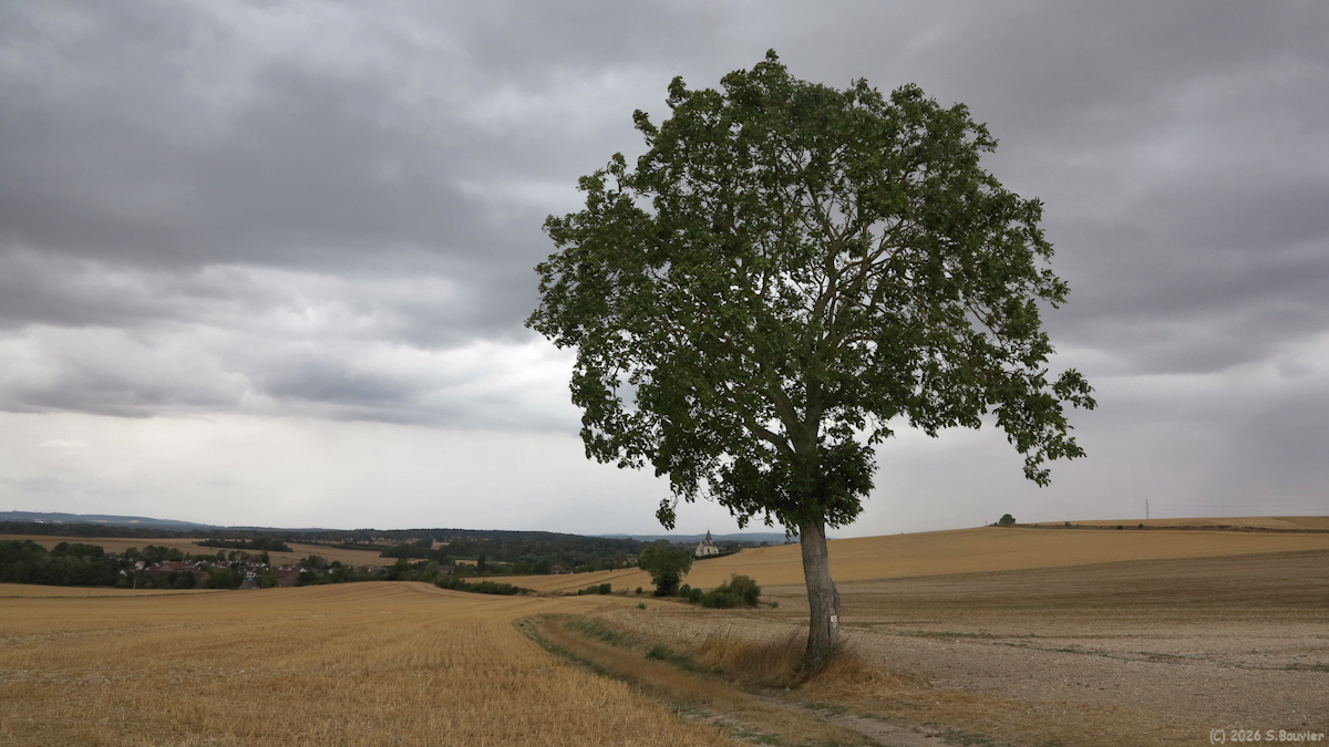 Frocourt (Chemin 2)