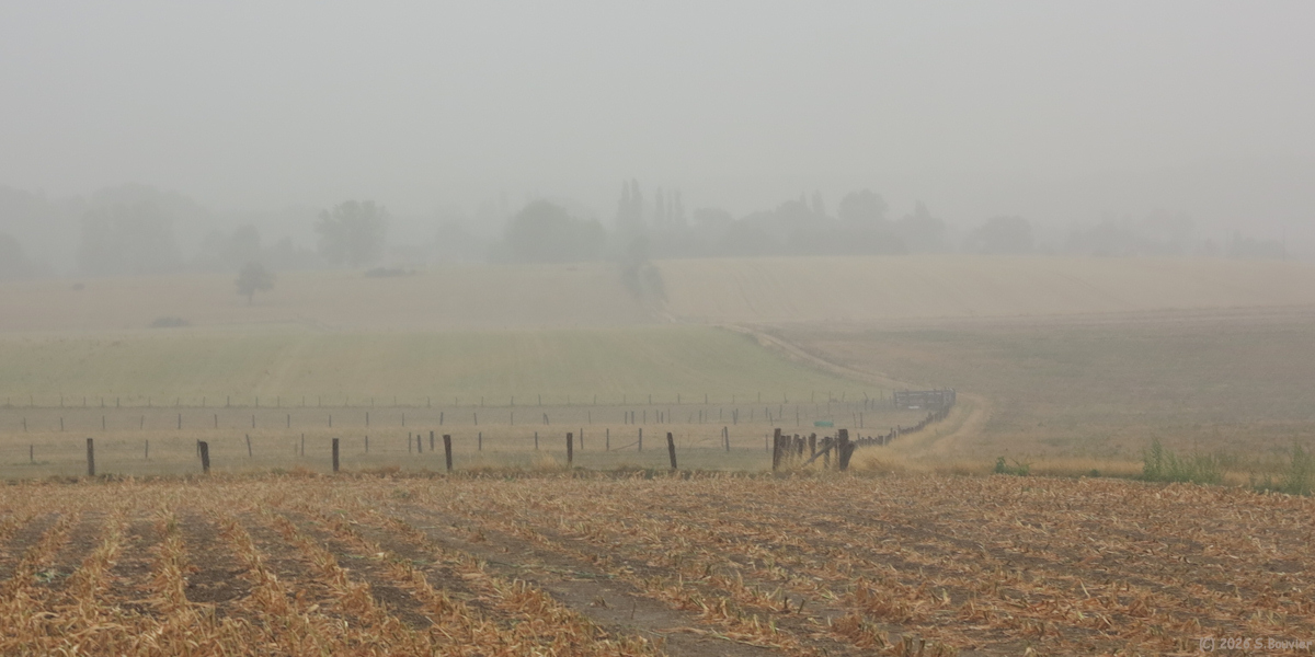 Berneuil en Bray (Chemin)
