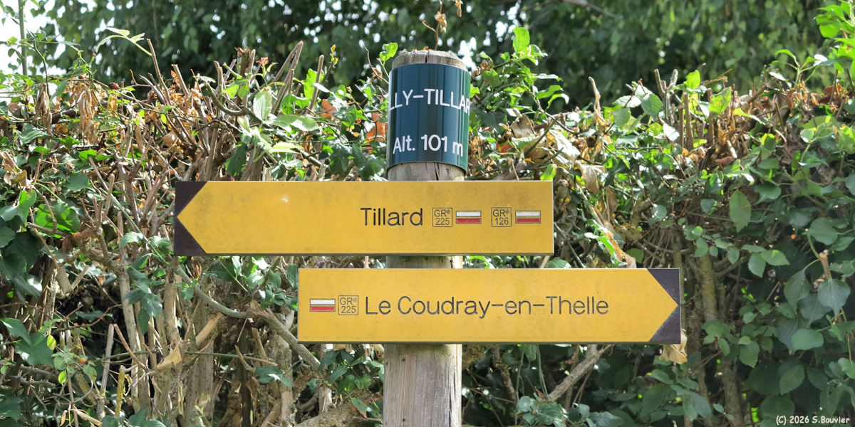 Silly-Tillartd (Flèches)