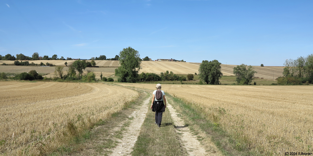 Silly-Tillard (Chemin)