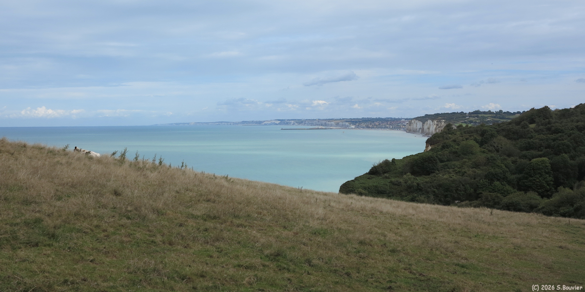 Varengeville sur Mer (Gorge 3)