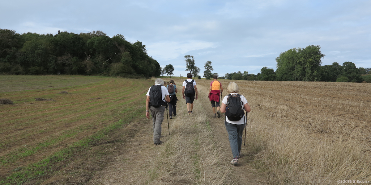 Sainte Marguerite sur Mer (Chemin)