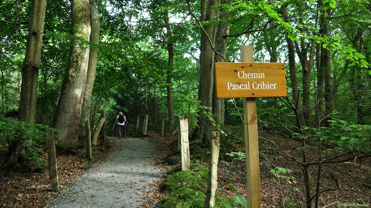 Varengeville sur Mer (Chemin)
