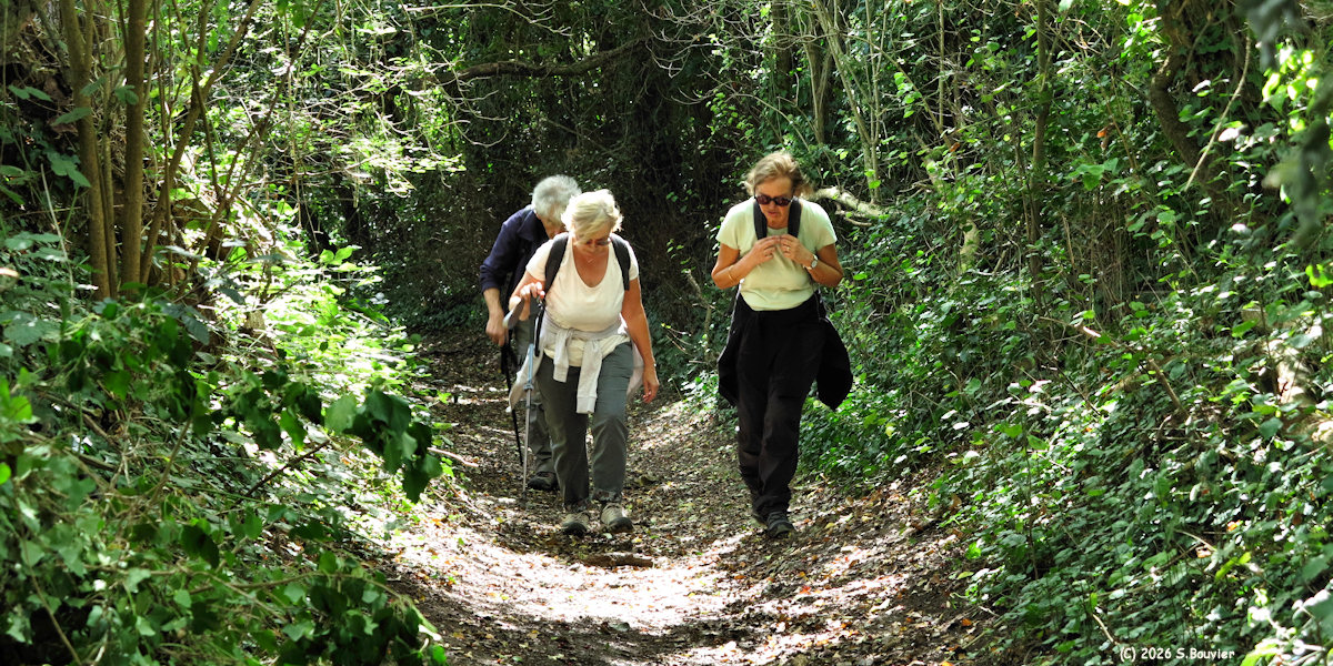 Longueil (Chemin 4)