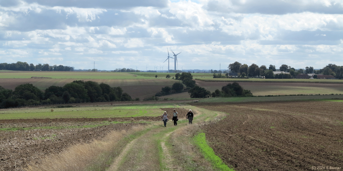 Sainte Marguerite sur Mer (Chemin)