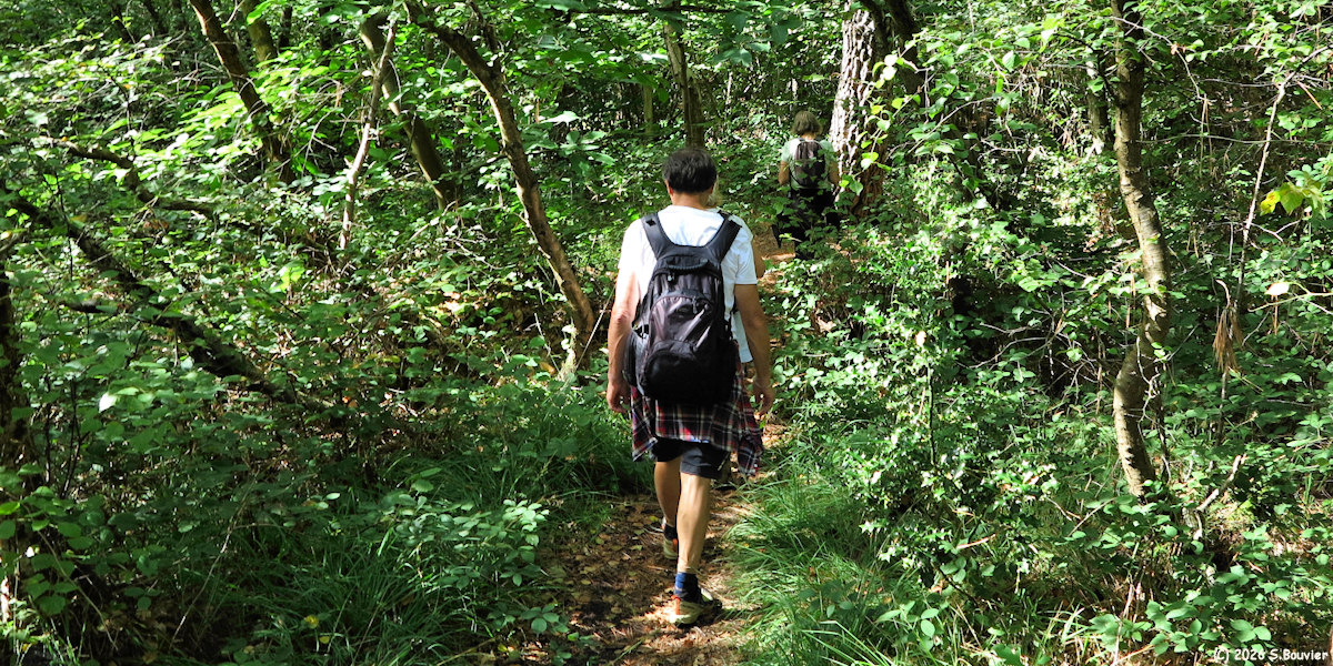 Sainte Marguerite sur Mer (Sentier)
