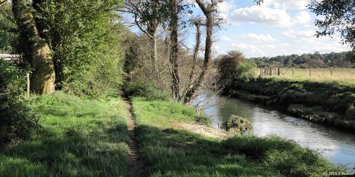 Sainte Marguerite sur Mer (Sentier 1)