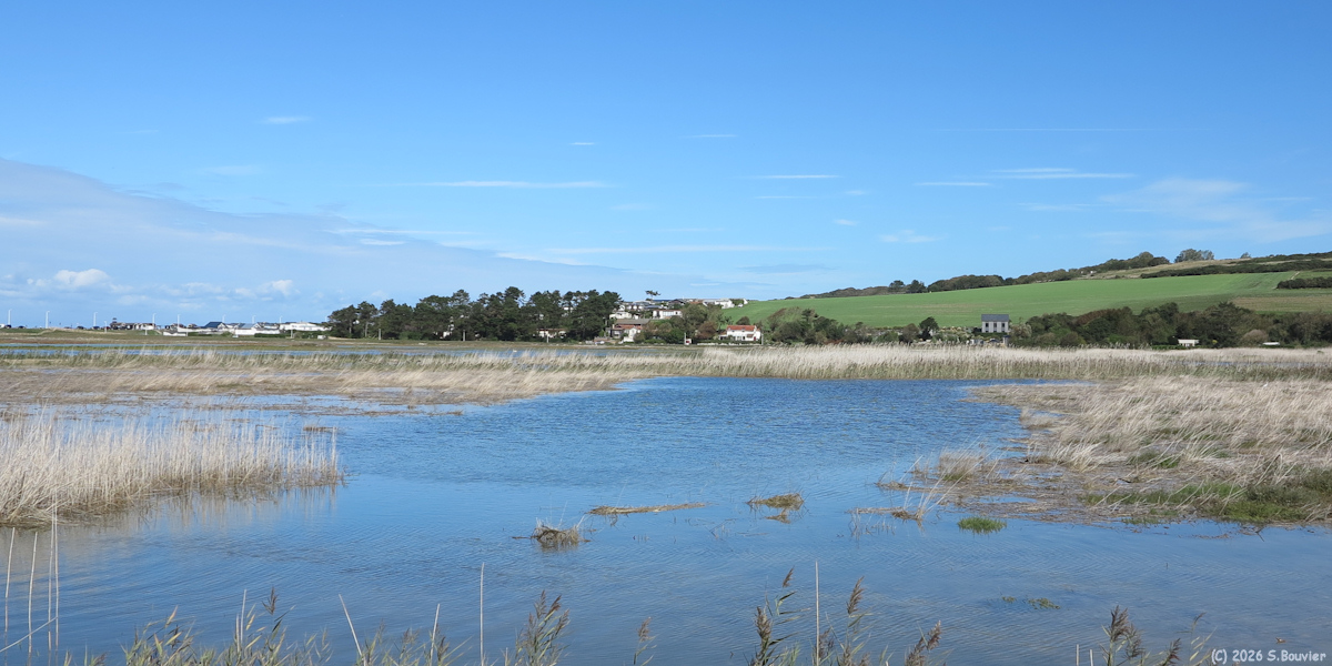 Quiberville (Vallée 3)