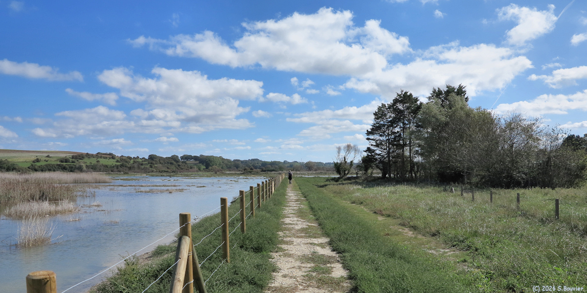 Quiberville (Digue)