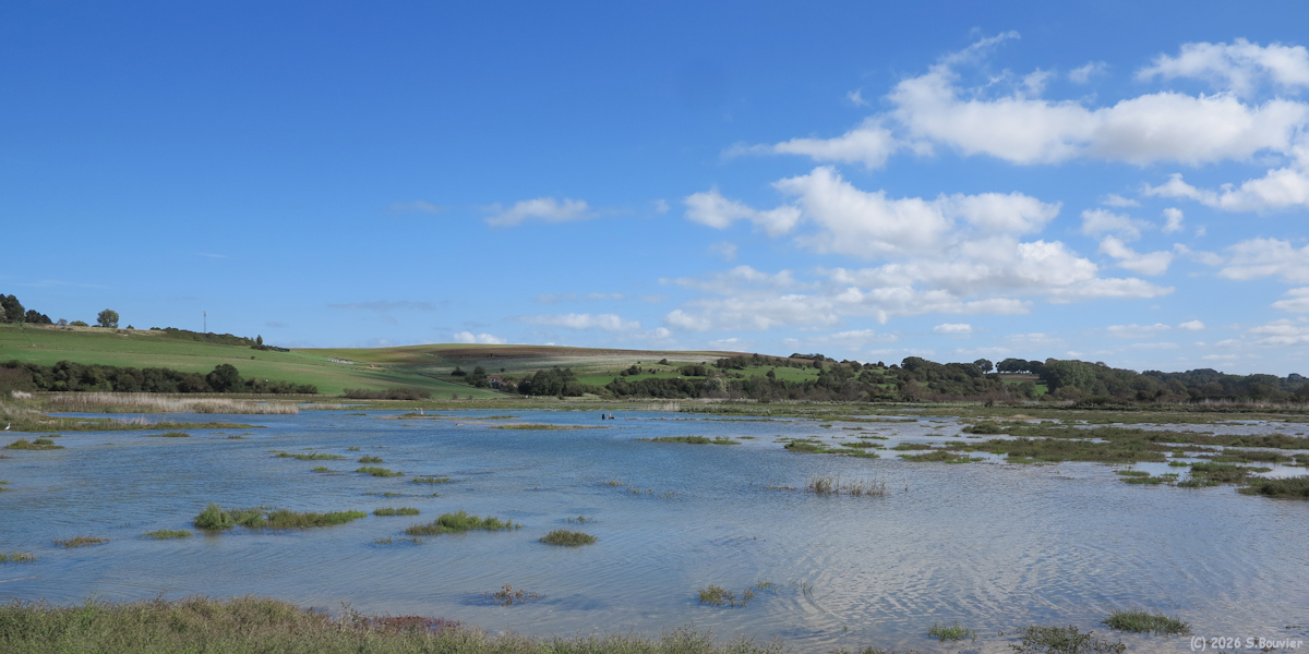 Quiberville (Vallée 4)
