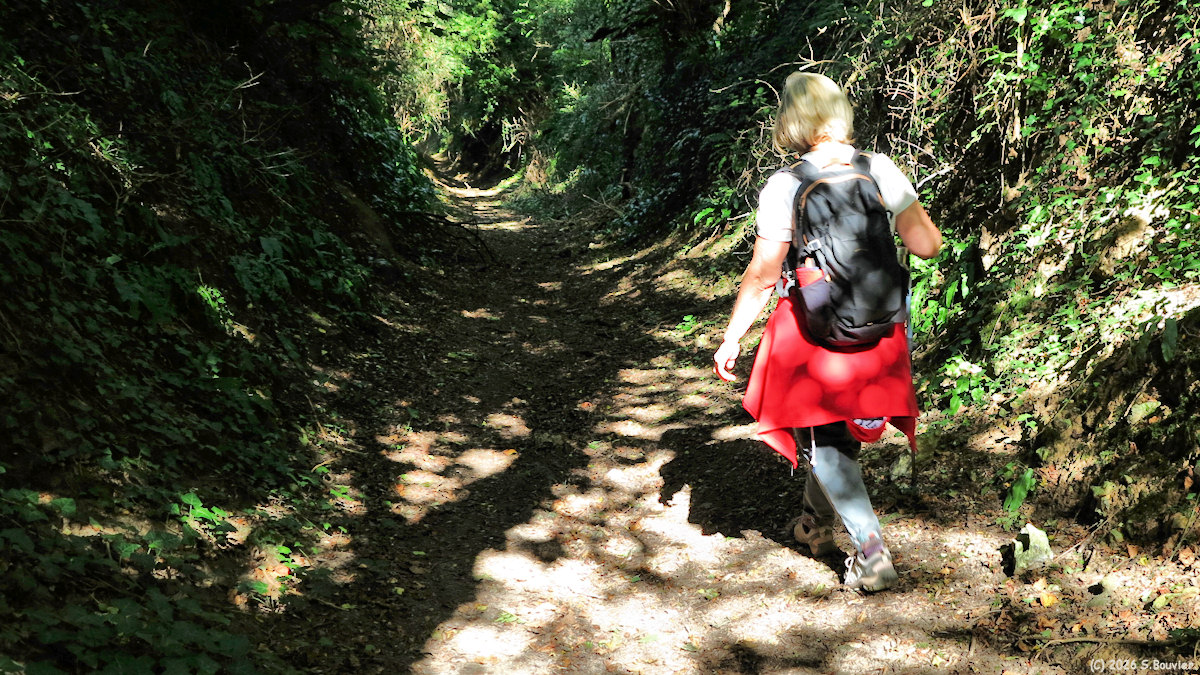 Veules les Roses (Chemin 1)