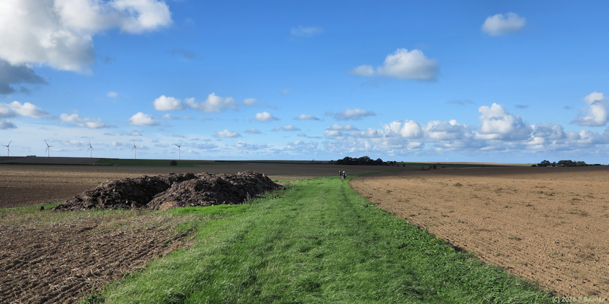 Blosseville (Chemin 4)