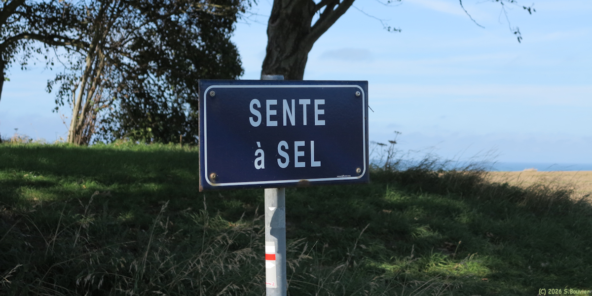Veules les Roses (Panneau)