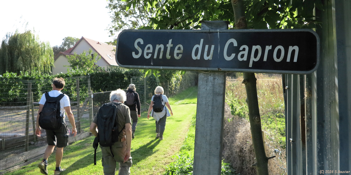 Sotteville sur Mer (Sente)