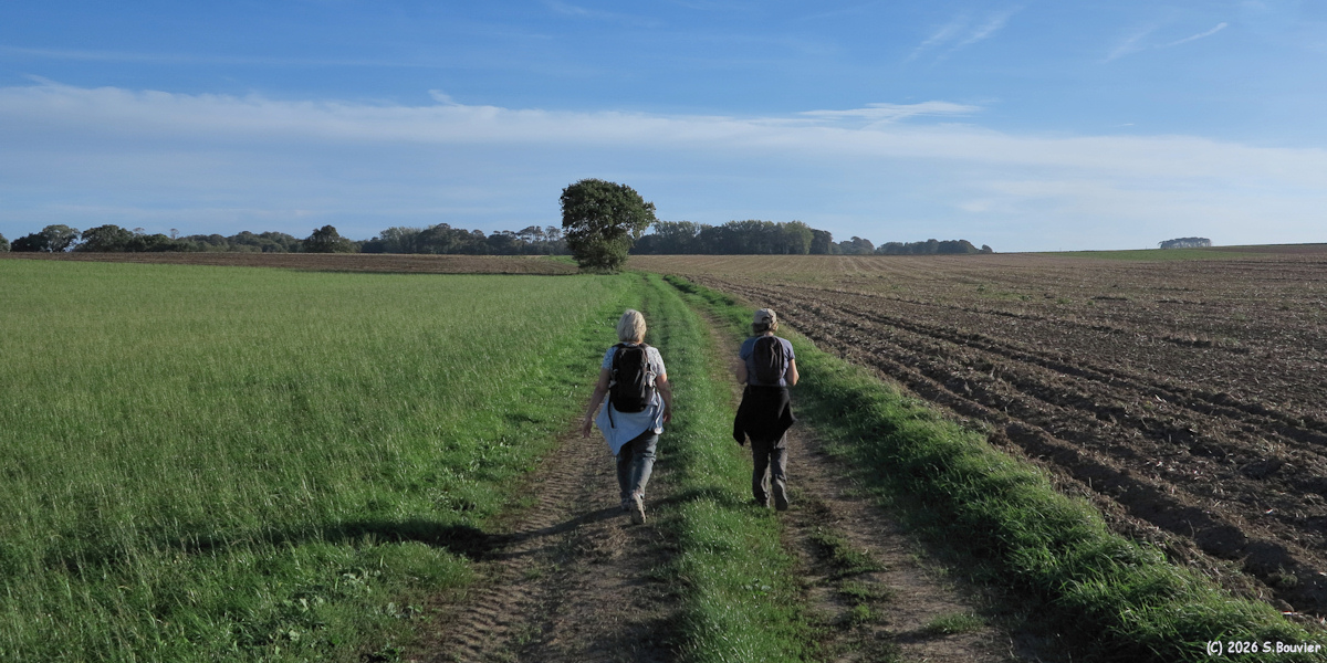 Sotteville sur Mer (Chemin 1)