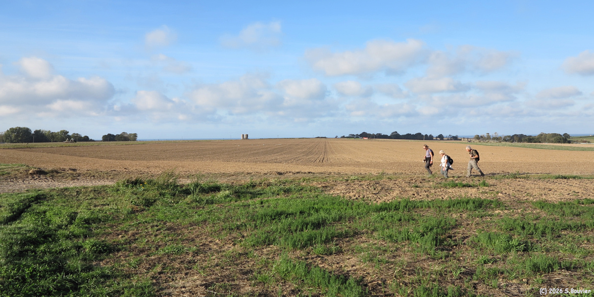 Sotteville sur Mer (Chemin 2)