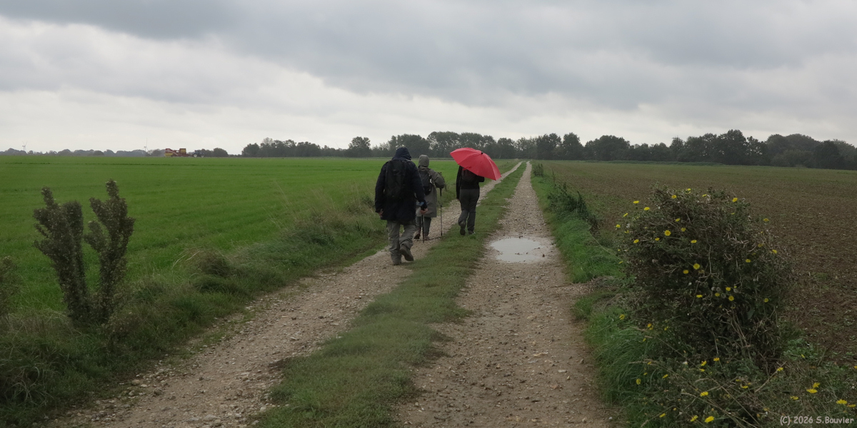 Saint Pierre le Viger (Chemin)