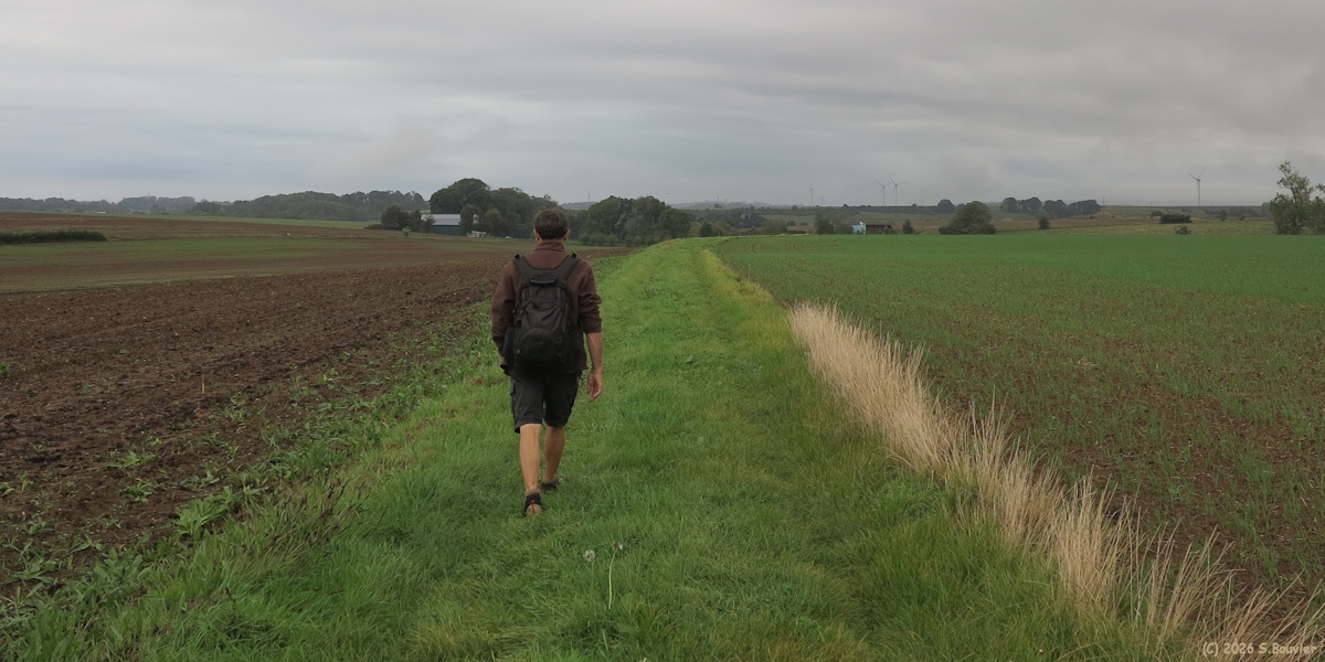 Saint Pierre le Vieux (Chemin 2)