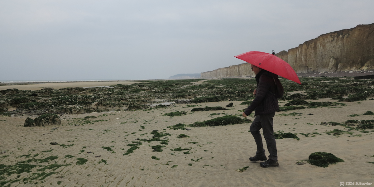 Saint Aubin sur Mer (Estran 1)