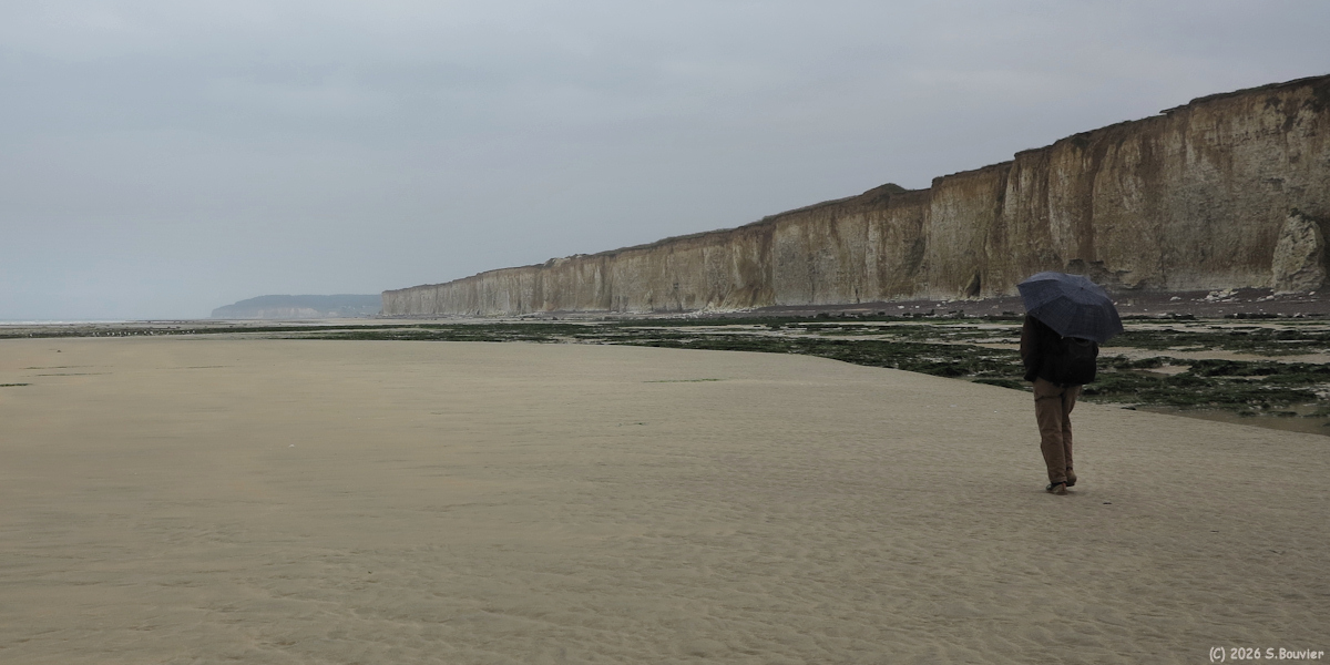Saint Aubin sur Mer (Estran 2)