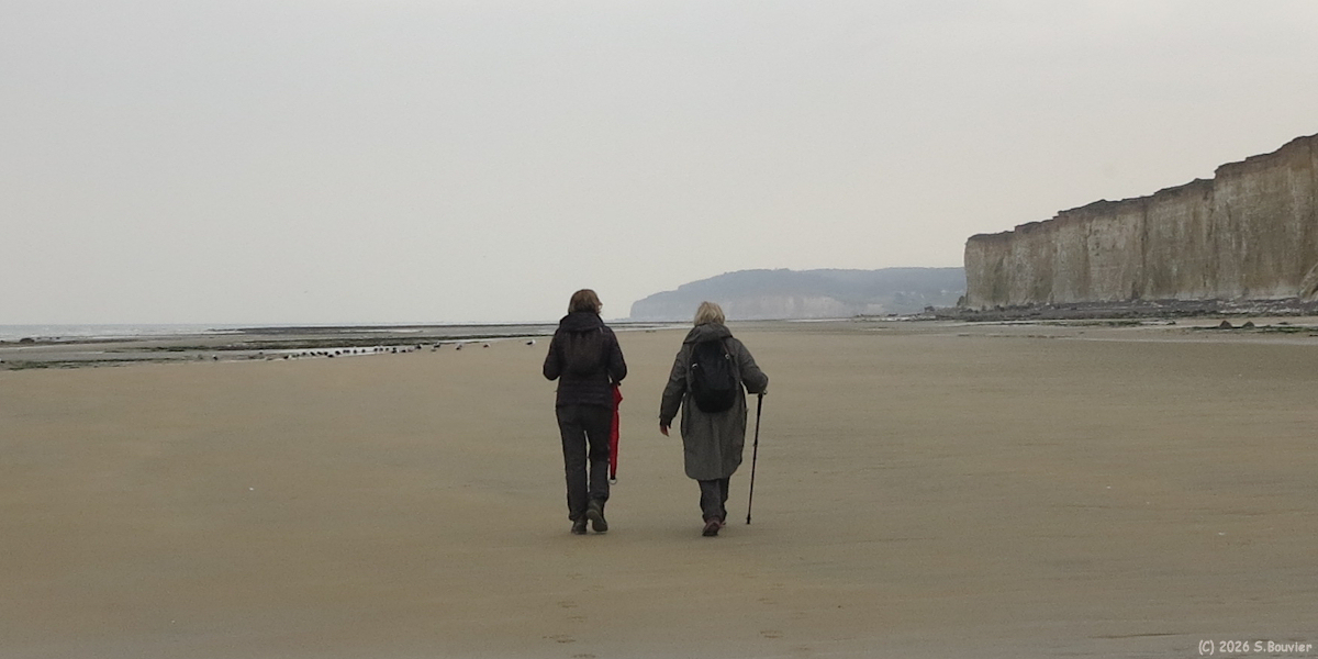 Saint Aubin sur Mer (Estran 3)