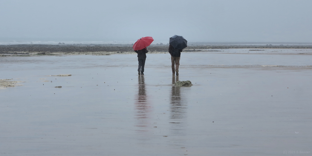 Saint Aubin sur Mer (Estran 4)