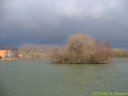 Arques la Batailles (7)