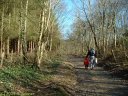 Bois de l'Ailly