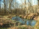 Bois de Vasterival (Mare)
