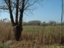 St Martin de Boscherville (Les Acres)