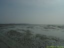 Baie de Somme (La Maye)
