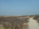 Baie de Somme (Pointe de St Quentin)