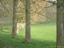Fonds de la Vauvaye (4)