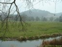 Eaulne (Forêt)