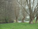 Eaulne (Pêcheur)