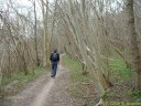 Forêt d'Arques (1)
